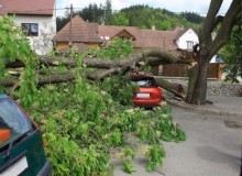 Kwikfynd Tree Cutting Services
twinrivers